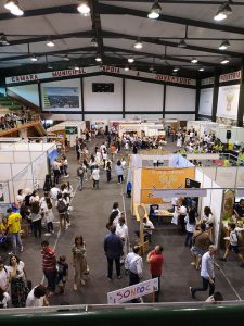 6ª Ed. do Programa Educação para o Empreendedorismo da CIMRC – Vila Nova de Poiares